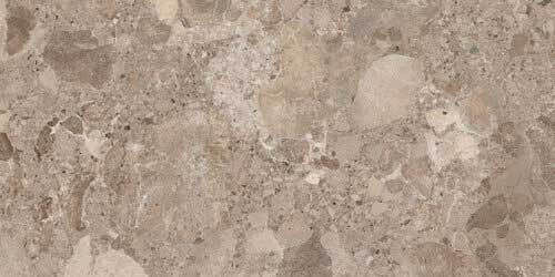 Baldocer Πλακάκι Δαπέδου Εσωτερικού Χώρου Ματ 120x60cm Bronzo