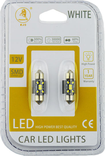 Λάμπες Led Σωληνωτές 31mm 8 Leds 12volt Canbus Λευκό Φως Auto Gs 600484 2 Τεμάχια