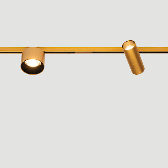 Zambelis Lights LED Warm White Spot in Bronze Color