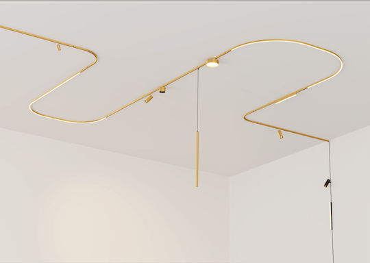 Zambelis Lights LED Warm White Spot in Bronze Color