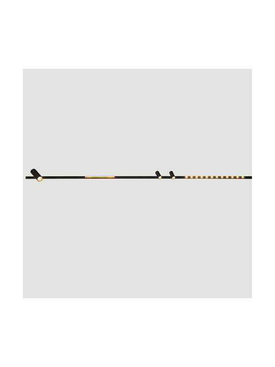 Zambelis Lights LED Warm White Spot in Black Color