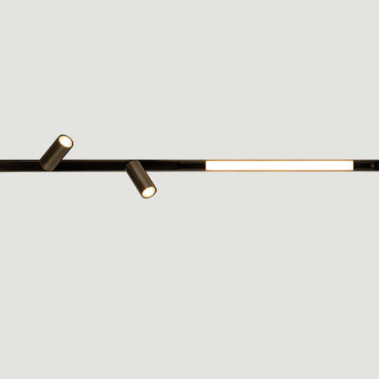 Zambelis Lights LED Warm White Spot in Black Color