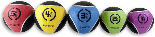 Amaya Ball Medicine 3kg