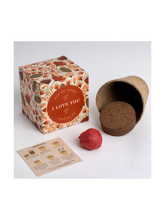 Say It Flowers I Love You Flower Growing Set 8.8 X 8.8 X 8.8 Cm
