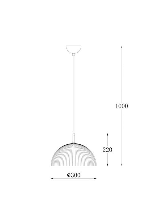 Agora Lighting Reglabil Lustră Transparent cu Dulie E27 30cm.