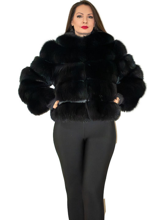 Leatherland