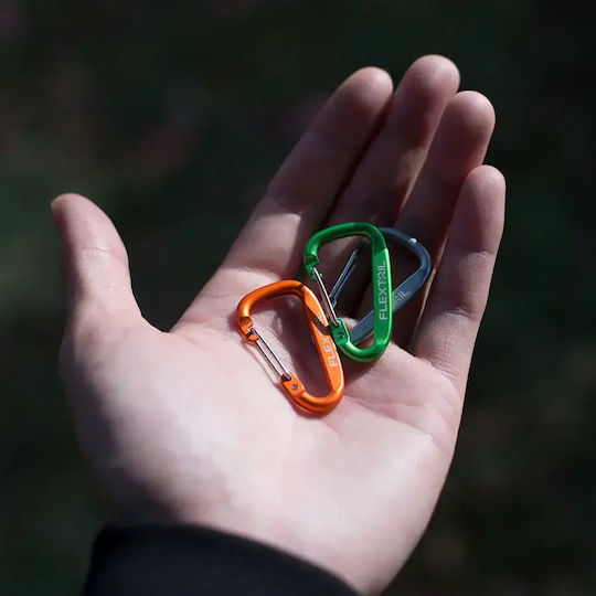 Carabiner Set