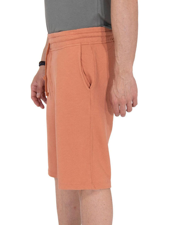 Men's Shorts Salmon