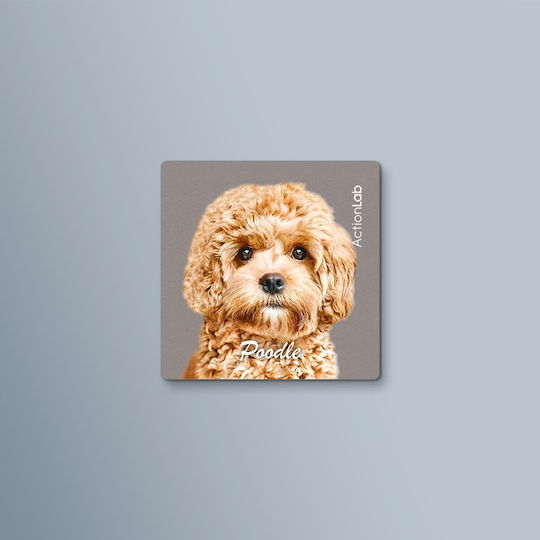Action Lab Magnet Poodle Moca