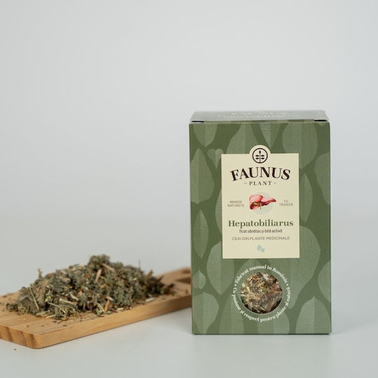 Faunus Plant Τσάι 90 Φακελάκια 90gr