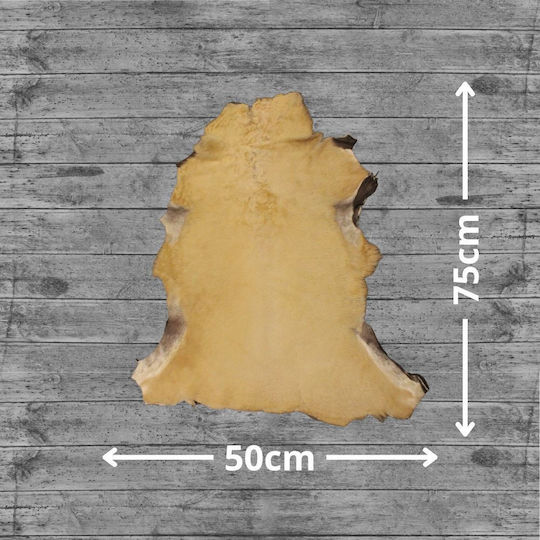 Δέρμα Κατσίκι Μουτόν 60x40cm Καφέ Camel Rg05 Δέρμα Κατσίκι Μουτόν 60x40cm Καφέ Camel Rg05