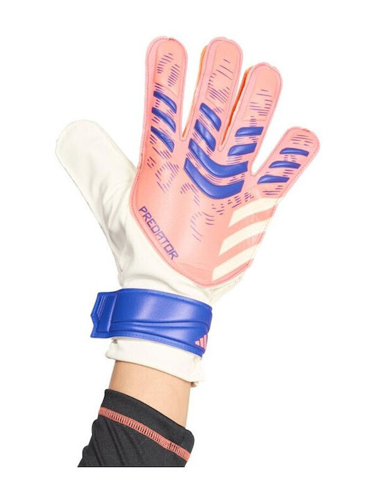 adidas Predator Training Γάντια Τερματοφύλακα Ενηλίκων Πορτοκαλί