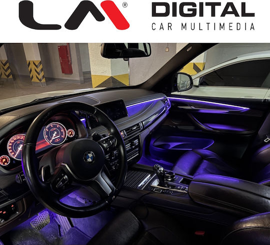 LM Digital RGB LM Ambient BMF151