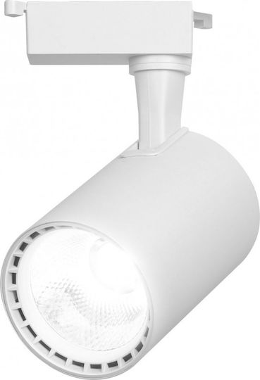 LED Warm White Spot with 10 Lights in White Color