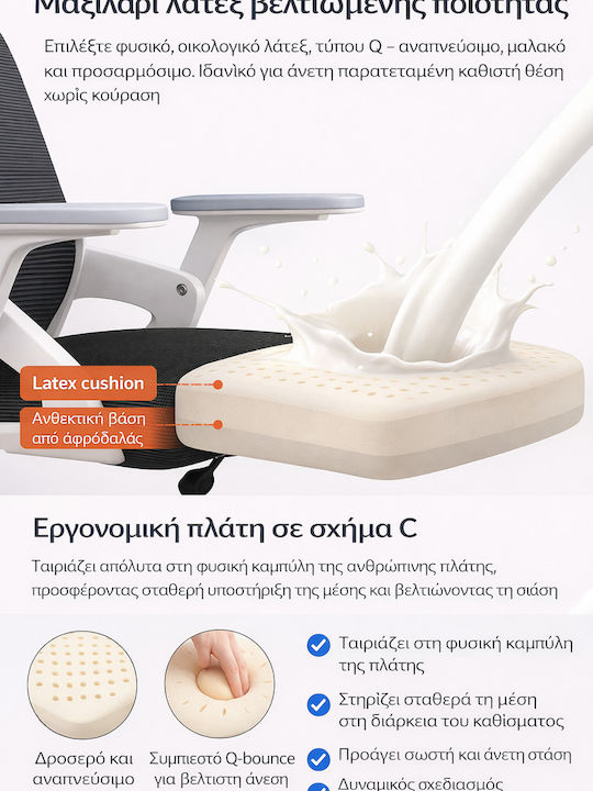Ergonomic Καρέκλα Γραφείου με Ανάκλιση και Ρυθμιζόμενα Μπράτσα Black And White