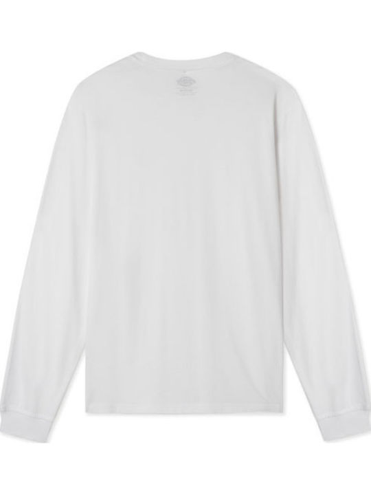 Mapleton T-shirt White