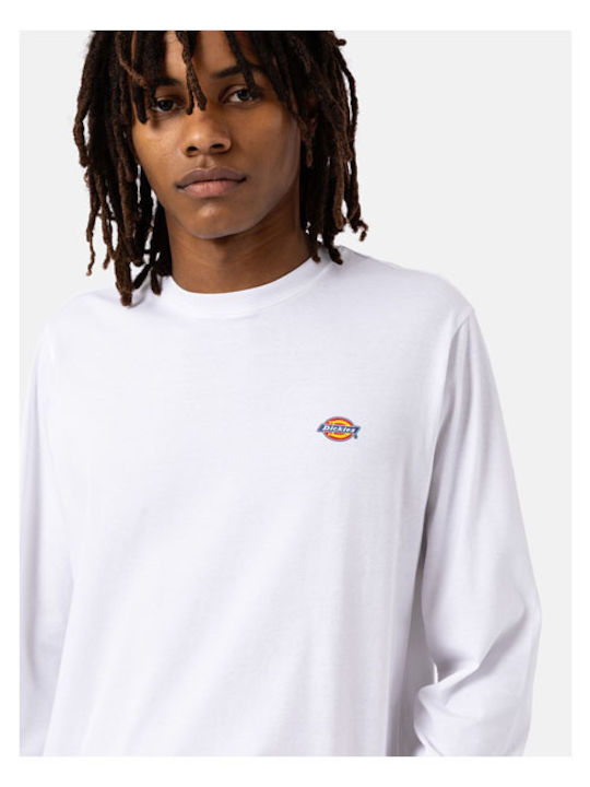 Mapleton T-shirt White