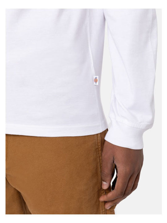 Mapleton T-shirt White