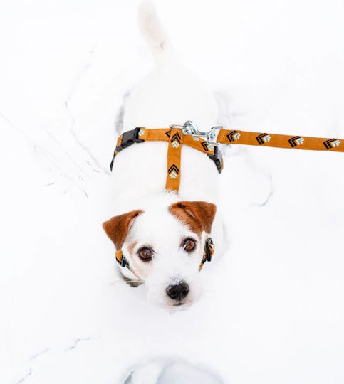 Woolly Wolf Dog Leash/Lead Strap 1.5m