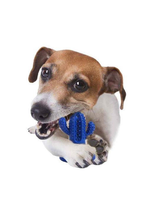 Afp Dog Toy Dental Care Dental Cactus Blue Small 9x6.3x6.3cm Monochrome