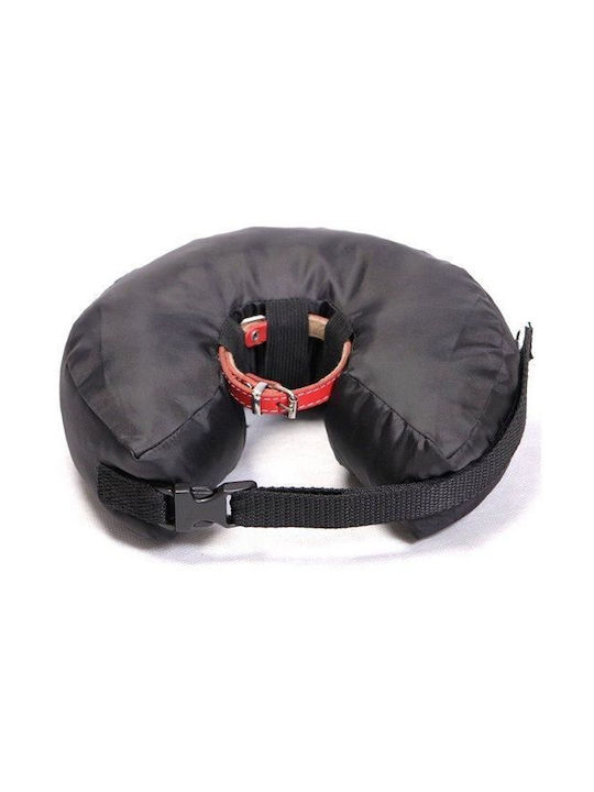 Grande Finale Postoperative Collar Size 1 Grande Finale Postoperative Collar Size 1