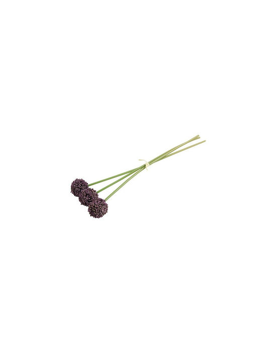 Allium Μωβ X3 55εκ