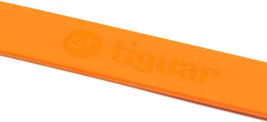 Gt Leiter Set Von Tiguar 3 V2