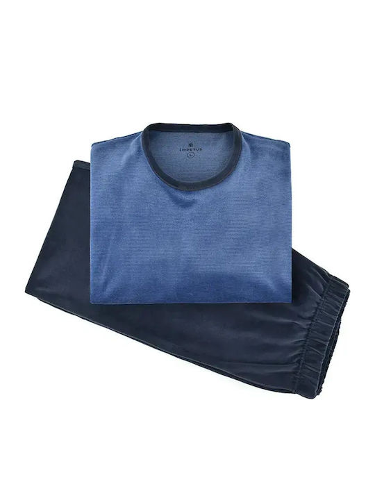 Impetus Blue