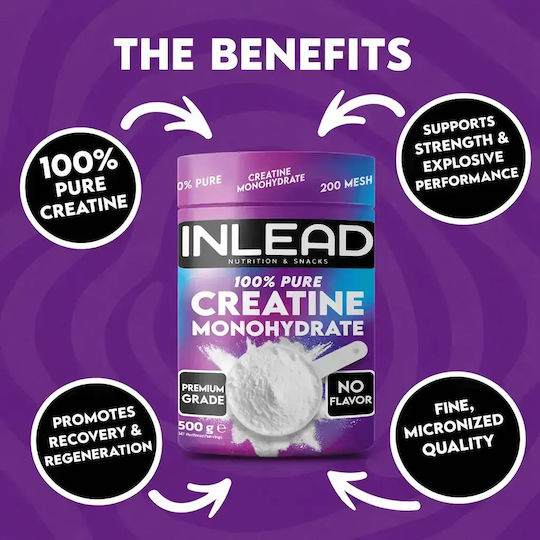 Inlead Nutrition Creatine Μονοϋδρική Κρεατίνη Unflavoured 500gr