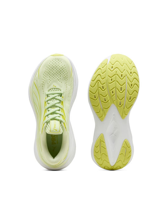 Maxima Pro Femei Pantofi sport Alergare Multicolor