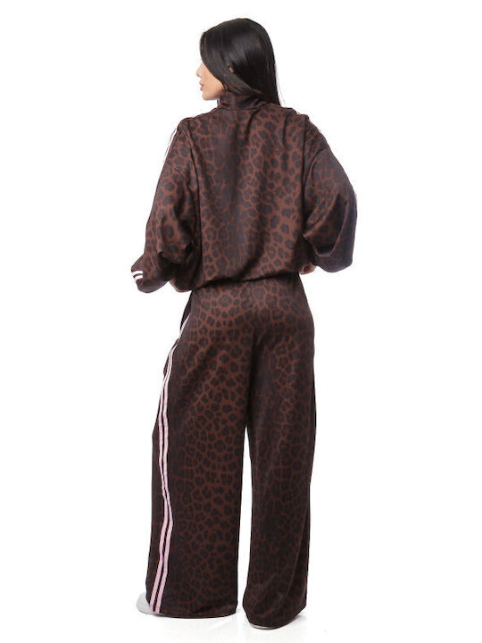 Set Palazzo Jacket Animal Print Stripes