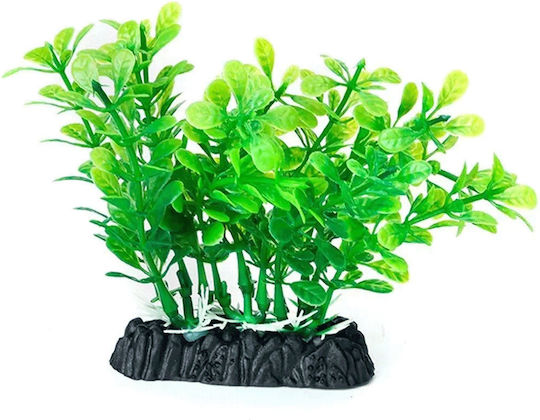 Nobleza Διακοσμητικά Φυτά Ενυδρείου 12cm 1 Τεμ