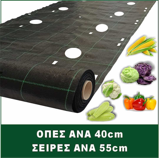 Țesătură Acoperire A Solului Prokrob Ardei Dovlecel Varză Broccoli 1x5m 24 Locuri 99105