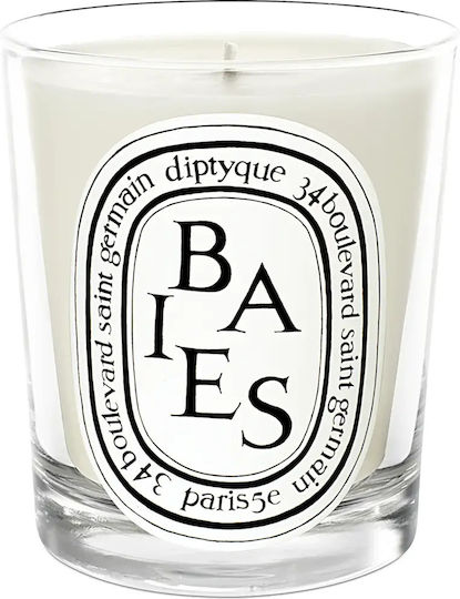 Diptyque Αρωματικό Σόγιας σε Βάζο Baies