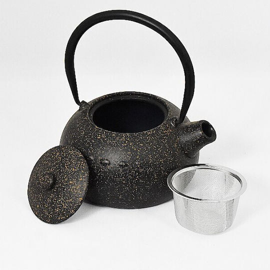 Patchy Teapot with Filter Cast Iron Hand Brown 850ml