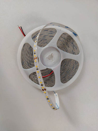 Home Lighting LED Лента 24V Неутрално бяло Светлина 1м