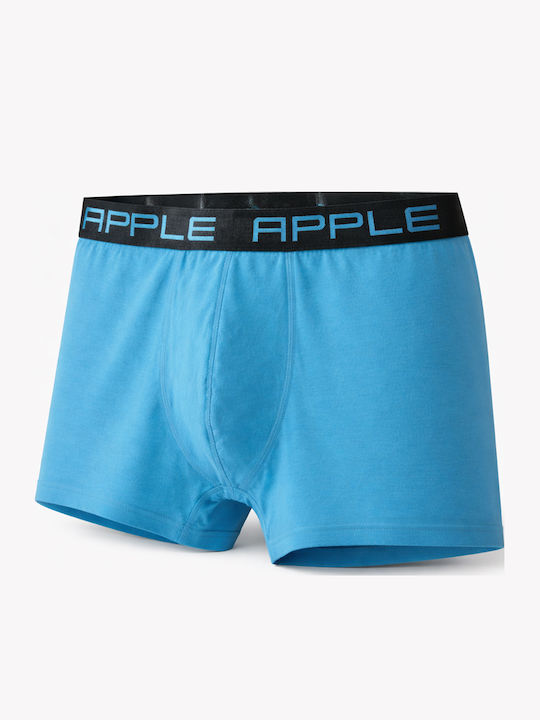Apple Boxer Apple Boxer