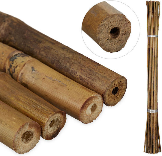 Set 40 Plant Sticks Relaxdays Bamboo 105 Cm Size