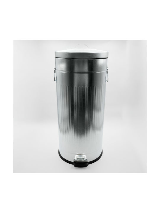 Sidirela Trendy Waste Bin Waste Metallic with Pedal 30lt 1pcs
