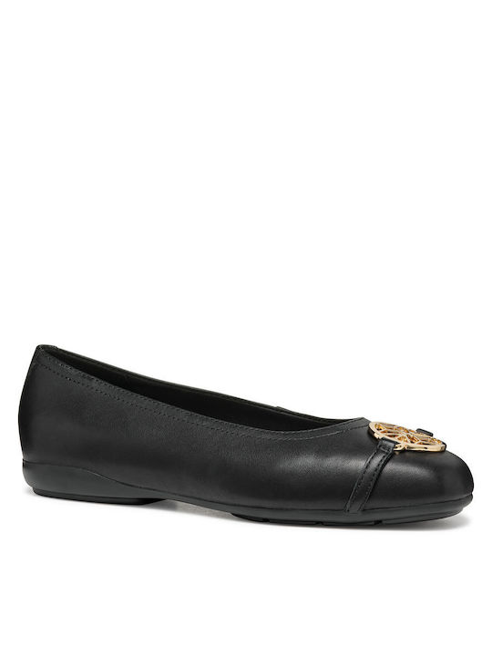Damen Ballerinas in Schwarz Farbe