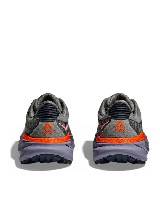 Sneakers Gray