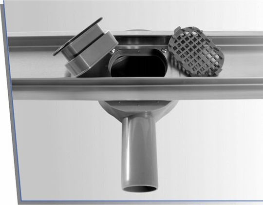 Rea Σιφώνι