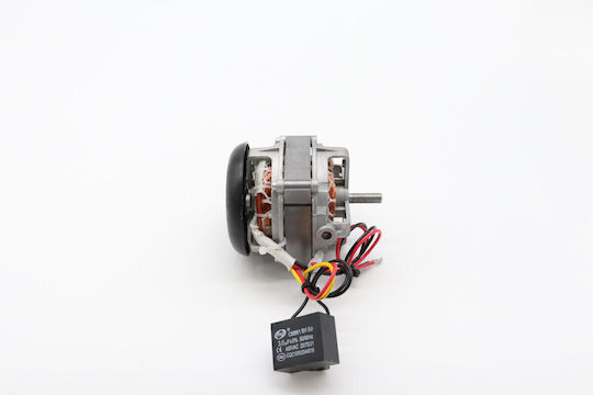 Maxima Motor