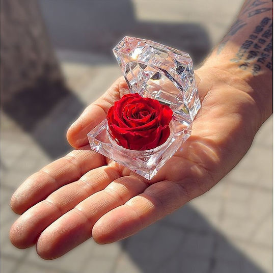 Rose Amor – Eternal Love Rose Long-lasting 100% Natural Rose