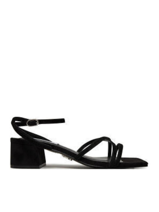 Steve Madden