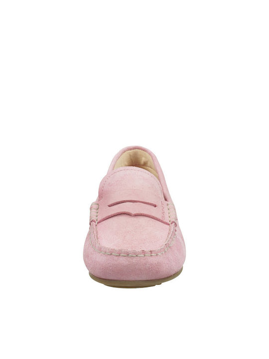 Gant
