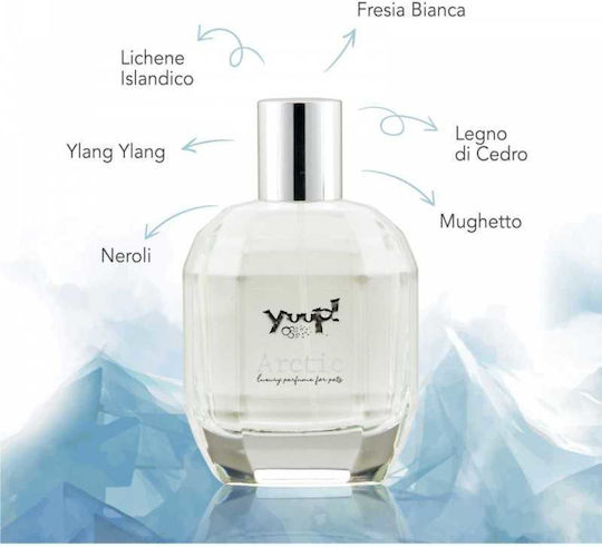 Yuup Arctic Perfume White Freesia Cedarwood Scent 100ml