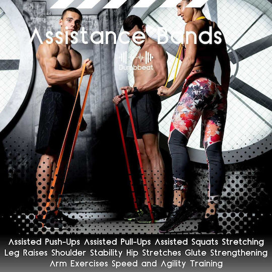 Premium Set Bands & Resistance Bands Dumbbeat