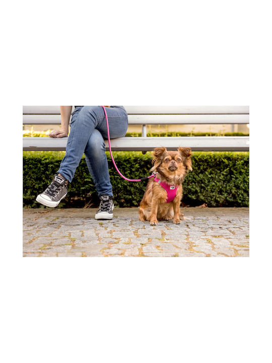 Curli Γιλέκο HARNESS CLASP AIR-MESH Μπεζ X-Small Curli Γιλέκο HARNESS CLASP AIR-MESH Μπεζ X-Small