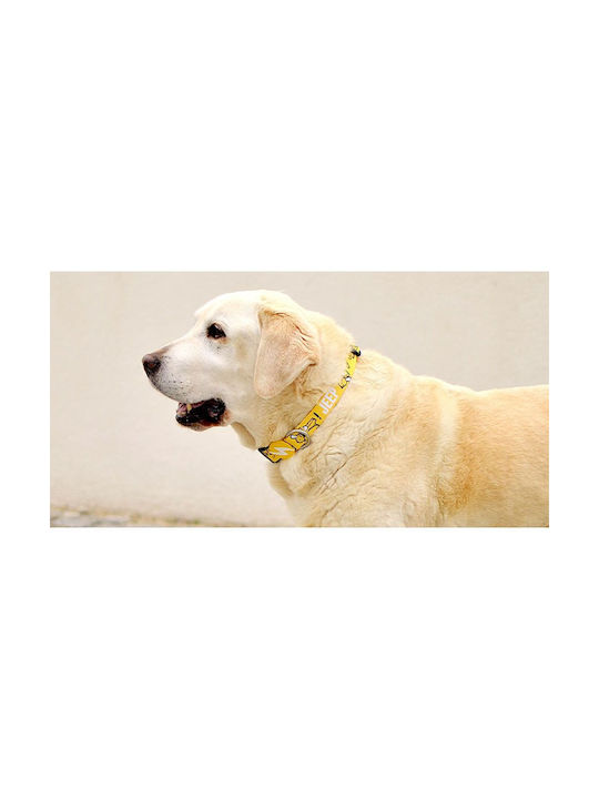 Jeep Collar Xsmall